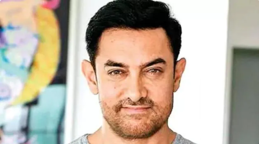 Aamir Khan Reacted on "The Kashmir Files"