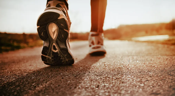 Healthy Walk :100 उल्टे कदम 1000 के बराबर , समय का भी होगा बचाव