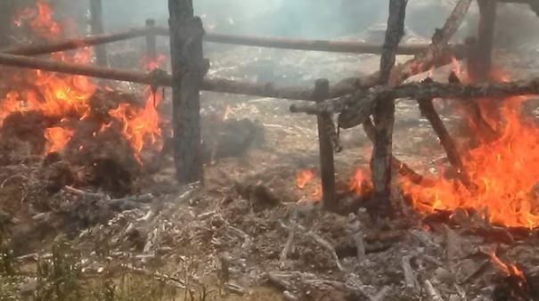 Uttarakhand Update - हरिद्वार में खाना बनाते समय भीषण आग लगने के दौरान 36 झोपड़ियां जलकर हुई राख