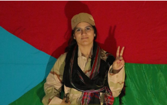 Karachi blast:कराची आत्मघाती हमलावर का आतंकवादी अतीत नहीं था, जाने पाक और चीन के चिंता की वजह