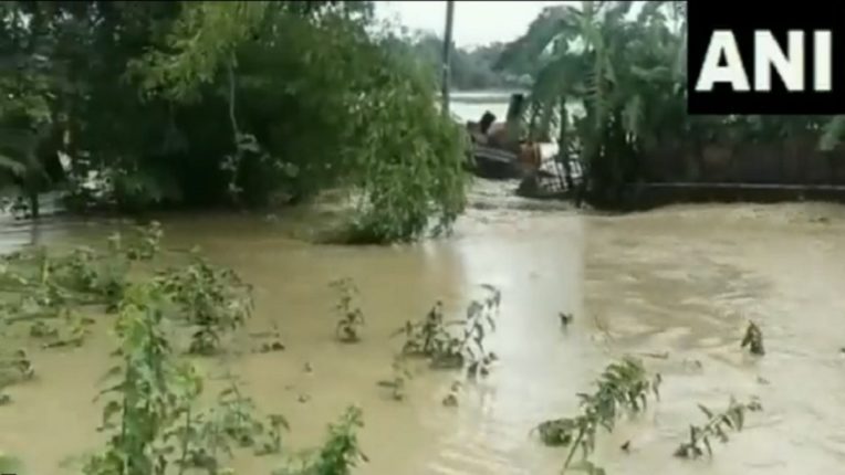 असम, बाढ़, असम में बाढ़, बाढ़ से मौत, Assam, floods, Assam floods, flood deaths