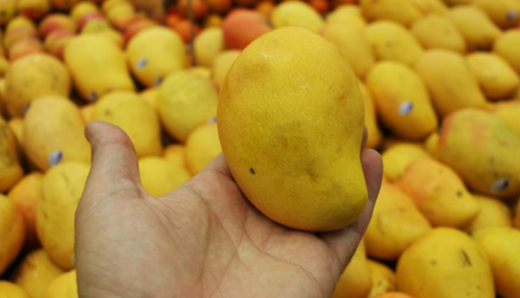 Vnation -desk- file photo