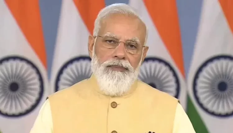 कम उम्र में सफेद बाल? गुलाब के साथ 'हां' पदार्थ ही खाएं