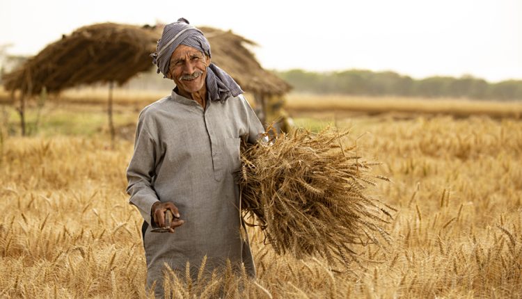 उत्तर प्रदेश, योगी आदित्यनाथ, किसान, प्रधानमंत्री किसान मानधन योजना, Uttar Pradesh, Yogi Adityanath, farmers, Prime Minister Kisan Maandhan Yojana