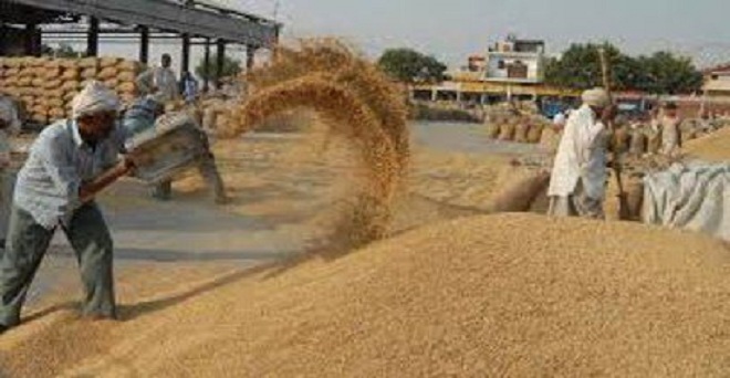 उत्तर प्रदेश, लखनऊ, 3.03 लाख मीट्रिक टन गेहूं, गेहूं खरीद, Uttar Pradesh, Lucknow, 3.03 lakh metric tonnes of wheat, wheat procurement