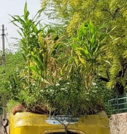 Auto Riksha file photo