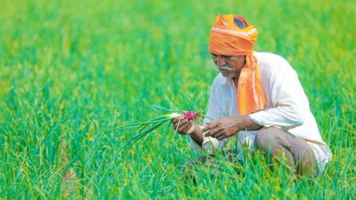 उत्तर प्रदेश, किसान, फसल, योगी आदित्यनाथ, uttar pradesh farmer crop yogi adityanath