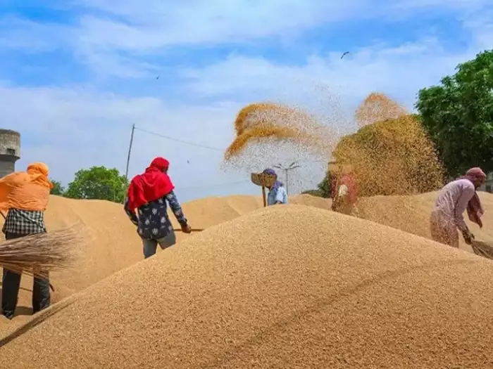 जयेन्द्र प्रताप सिंह राठौर, मूल्य समर्थन योजना, सहकारिता विभाग, गेहूं खरीद, Jayendra Pratap Singh Rathore, Price Support Scheme, Cooperative Department, Wheat Procurement