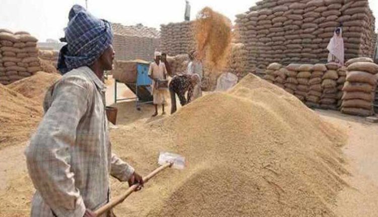 उत्तर प्रदेश, लखनऊ, गेहूं खरीद, जयेन्द्र प्रताप सिंह राठौर, उत्तर प्रदेश में गेहूं खरीद, Uttar Pradesh, Lucknow, wheat procurement, Jayendra Pratap Singh Rathore, wheat procurement in Uttar Pradesh
