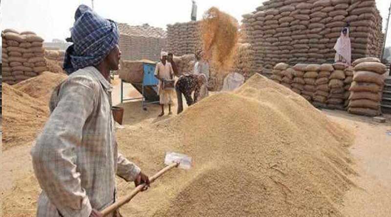 उत्तर प्रदेश, लखनऊ, गेहूं खरीद, जयेन्द्र प्रताप सिंह राठौर, उत्तर प्रदेश में गेहूं खरीद, Uttar Pradesh, Lucknow, wheat procurement, Jayendra Pratap Singh Rathore, wheat procurement in Uttar Pradesh