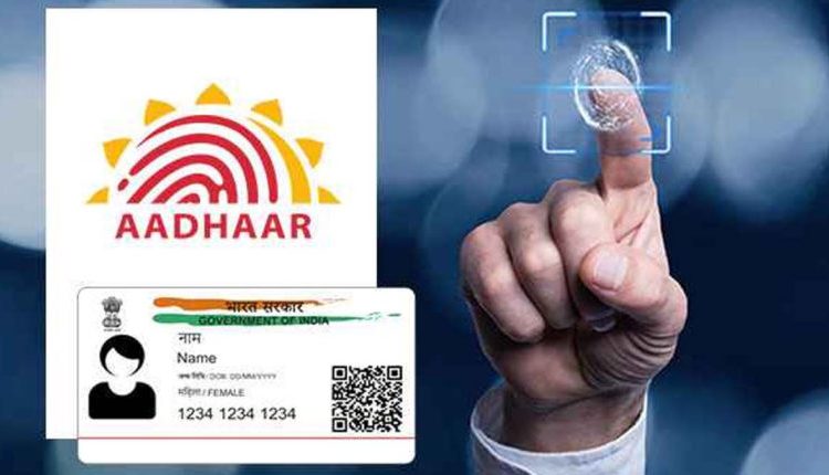 स्कूल शिक्षा विभाग