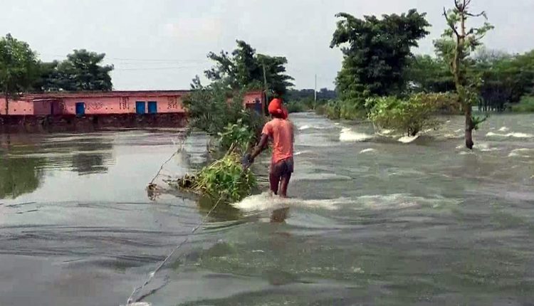 बिहार, पूर्णिया, बारिश, मौसम, तापमान, मूसलाधार बारिश, Bihar, Purnia, rain, weather, temperature, torrential rain