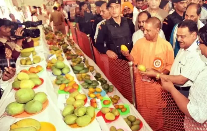 उत्तर प्रदेश, अवध शिल्प ग्राम, आम महोत्सव 2022, Uttar Pradesh, Avadh Shilp Village, Mango Festival 2022