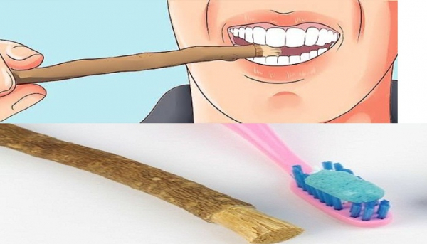 सेहत, स्वास्थ्य, दांतों की देखभाल, आयुर्वेद, health, health, dental care, ayurveda