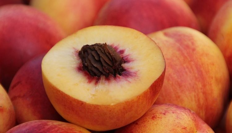 सेहत, आड़ू, आड़ू के फायदे, health, peach, benefits of peach,