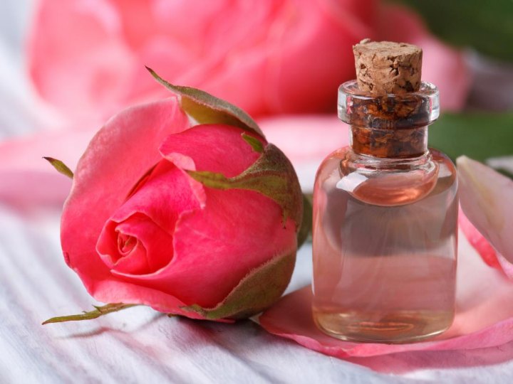 सेहत, स्वास्थ्य, गुलाब जल, गर्मी, गुलाब जल का प्रयोग, health, health, rose water, summer, use of rose water
