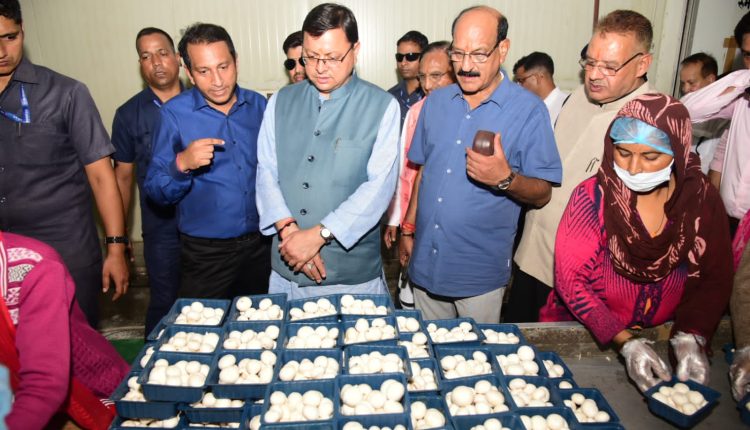 उत्तराखंड, मुख्यमंत्री पुष्कर सिंह धामी, मुख्यमंत्री धामी