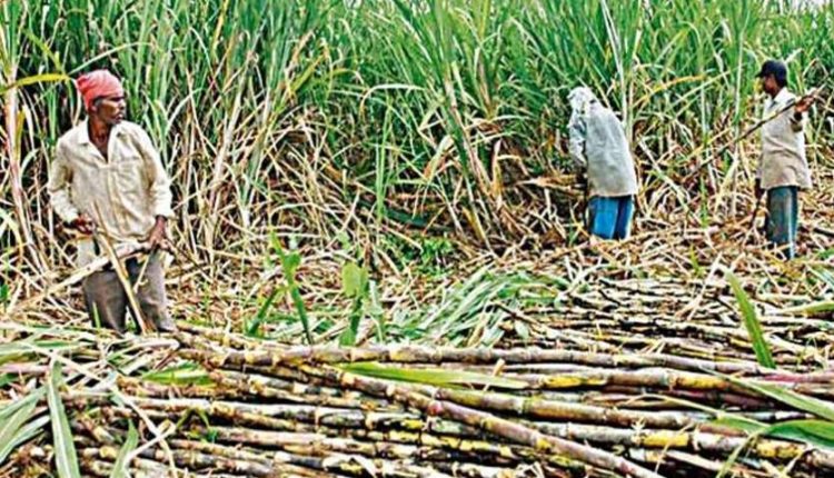 सहकारी चीनी मिल, योगी आदित्यनाथ, गन्ना किसान