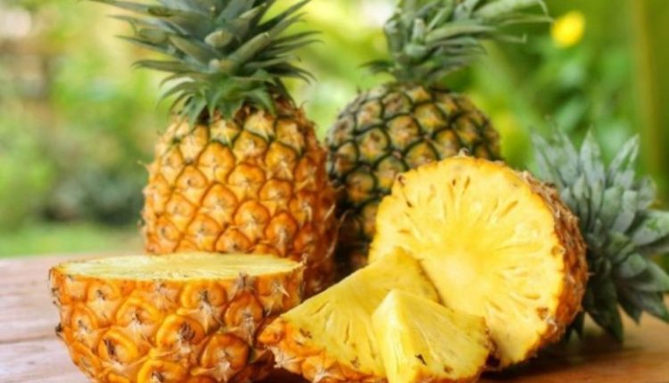 सेहत, स्वास्थ्य, अनानास, मोटापा, health, health, pineapple, obesity