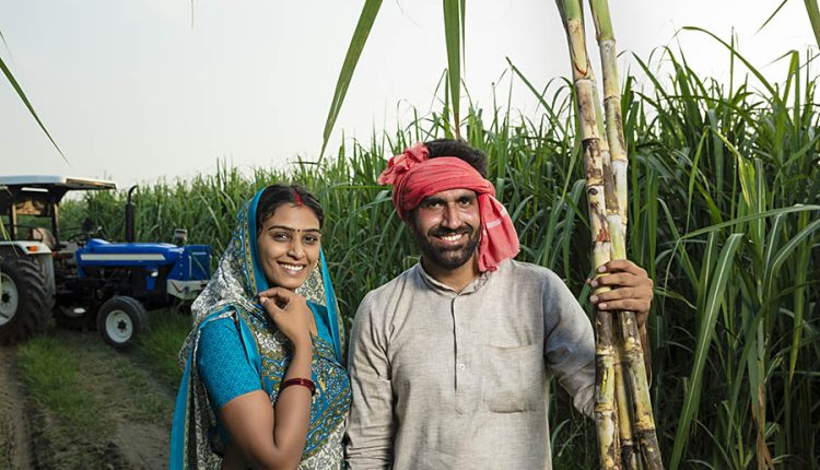 रोजगार के साथ उन्नत खेती में भी योगदान