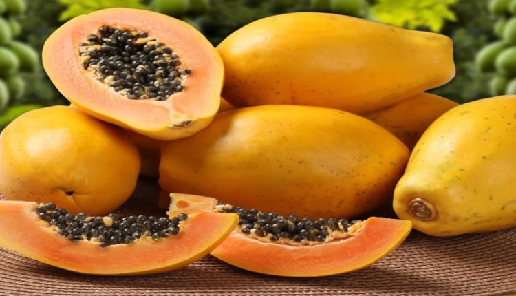 सेहत के लिए किसी वरदान से कम नही है पपीता के बीज…