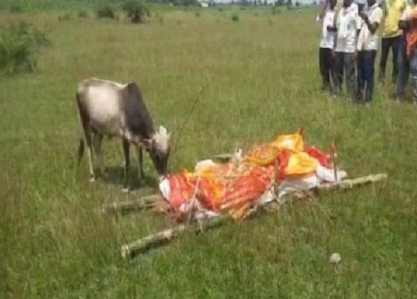 हजारीबाग, प्यार, बछड़ा, शव की परिक्रमा