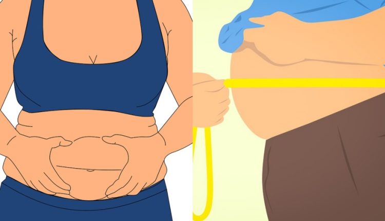 मोटापा, पेट की चर्बी, सेहत, स्वास्थ्य