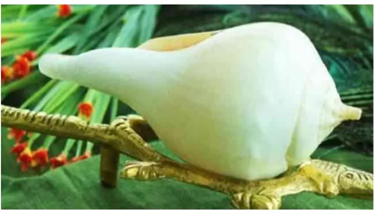 conch shell,conch,conch in house,shell,conch shell trumpet,conch in home,things you should never keep in puja room,horse conch,how do snails get their shells,everything about the conduit in minecraft,how to make a conduit with heart of the sea,snail without shell,never keep this 1 thing at home,conch snail,how to craft and use a conduit in minecraft,never keep this at home,how to pronounce conch,fighting conch,florida shells,snail shell,house, हिन्दू धर्म, ज्योतिष, संख, सनातन धर्म