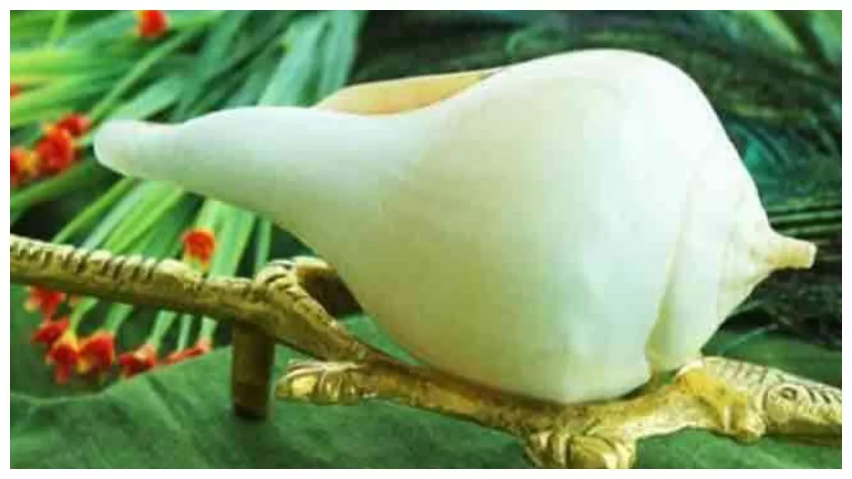 conch shell,conch,conch in house,shell,conch shell trumpet,conch in home,things you should never keep in puja room,horse conch,how do snails get their shells,everything about the conduit in minecraft,how to make a conduit with heart of the sea,snail without shell,never keep this 1 thing at home,conch snail,how to craft and use a conduit in minecraft,never keep this at home,how to pronounce conch,fighting conch,florida shells,snail shell,house, हिन्दू धर्म, ज्योतिष, संख, सनातन धर्म