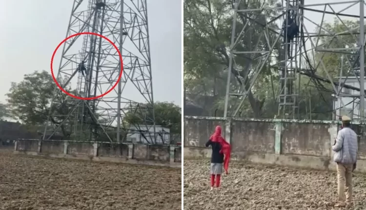 साली पर आया जीजा का दिल, मोबाइल टावर पर चढ़कर 3 घंटे तक किया हाई वोल्टेज ड्रामा